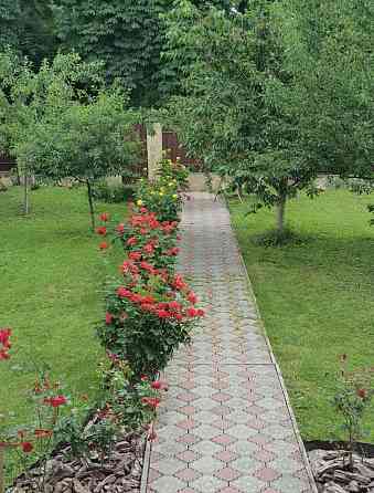 Продаж 3-поверховий Будинок з ділянкою 10 сот 345 кв.м 7+ кімн. на Велика Бердичівська Zhytomyr