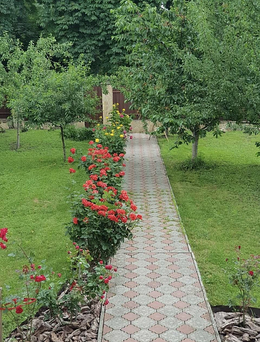 Продаж 3-поверховий Будинок з ділянкою 10 сот 345 кв.м 7+ кімн. на Велика Бердичівська Zhytomyr - photo 4