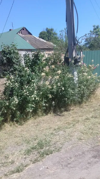 Продам дом в с.Выгода (Беляевский р-н) Вигода - фото 3