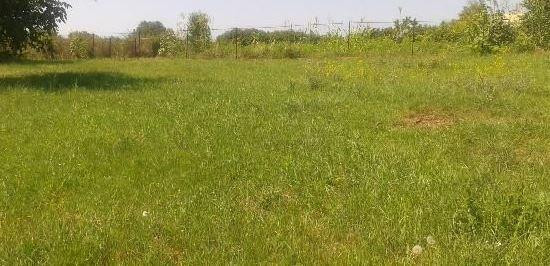 Продаж земельної ділянки 0.1 соток на ул. 1-я линия, 25 Нерубайське - фото 2