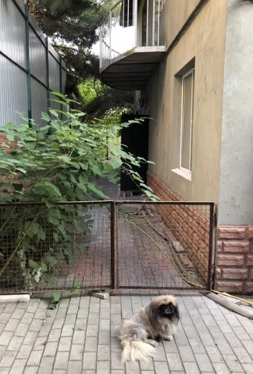 Продаж Будинок на Чубаевская ул. Odessa - photo 14