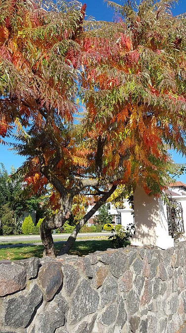 Продаж Будинок на вул. Затишна Chornomors'ke - photo 10