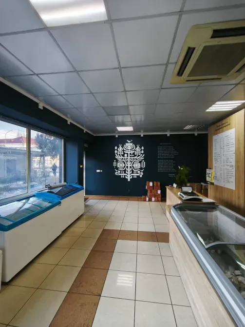 Продаж Приміщення в житловому будинку площа 81 кв.м 1-й поверх на Льва Толвстого 31 Ужгород - фото 7