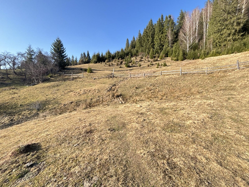 Продаж земельної ділянки 31 соток Verkhovyna - photo 10