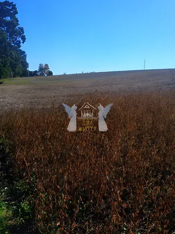 Продажа земельного участка  площадь 54 сот Лісна бічна вулиця  - изображение 7