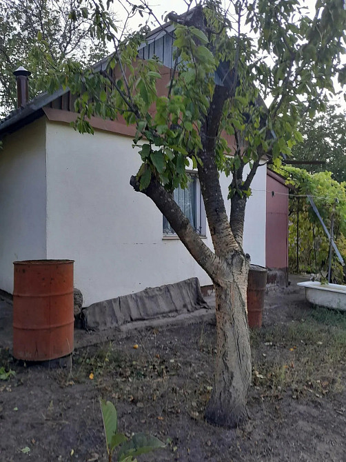 продам дачу Кропивницький. Кропивницький - фото 2