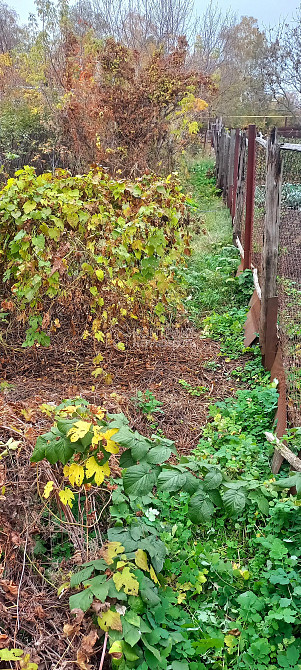 Продаж Будинок 3-кімнатний на вул. Юрія Кнорозова Kharkiv - photo 15