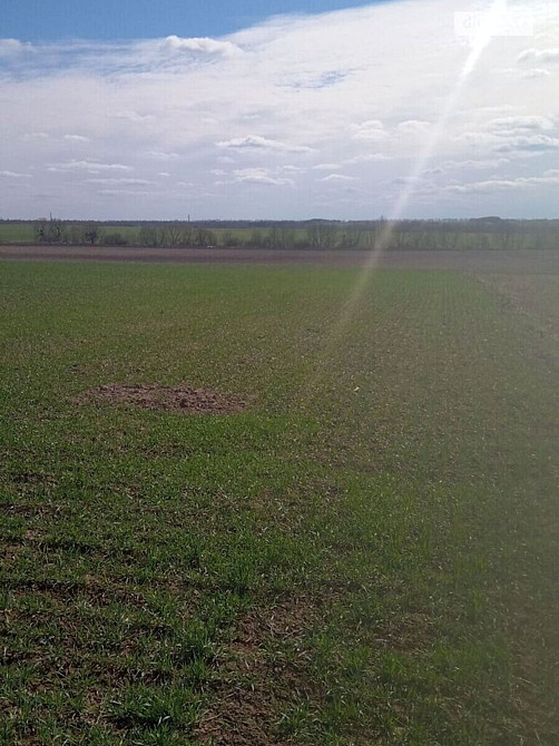 Продаж земельної ділянки 16 соток на Хмельницьке шосе Вінниця - фото 5