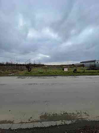 Продаж земельної ділянки 39 соток Rozivka