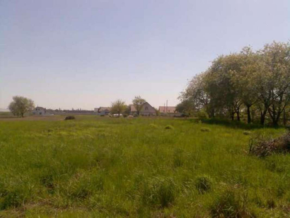 Продаж земельної ділянки 10 соток  - фото 3