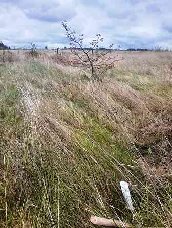 Продаж земельної ділянки 10 соток на Глубочиця Житомир