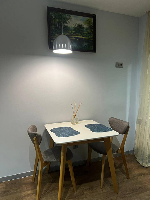 Оренда Квартира 1-кімнатна, 6/10 поверх на вул. Зелена Львів - фото 8