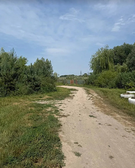 Продаж земельної ділянки 8 соток Велика Березовиця - фото 6