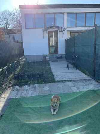 Продам невеличкий будиночок Кропивницький