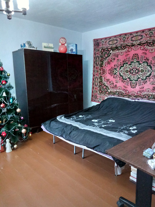 Продам дом за городом Мала Петрівка - фото 11