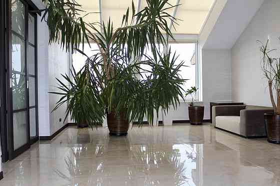 Оренда Квартира 4-кімнатна, 8/8 поверх на Успенская ул., 2 Одеса