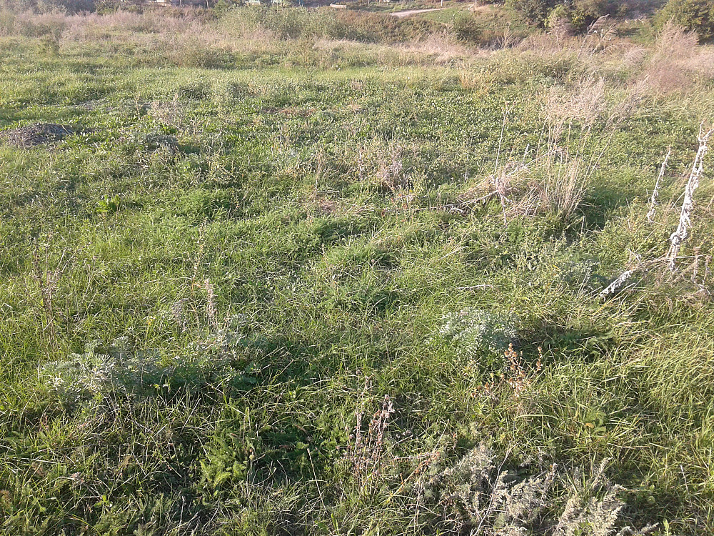 Продаж земельної ділянки 25 соток на ул. Массив ?, 57 Усатове - фото 2