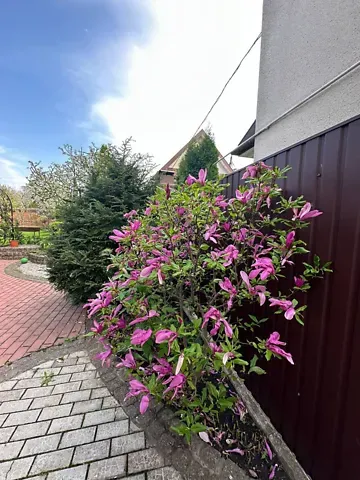 For sale 2-storey   195 sq.m 4 rooms at Гонти вулиця 2 Kirovohrad - photo 9