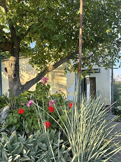 Продам дачный дом Ходосівка, Грушева вул. Ходосовка - изображение 7