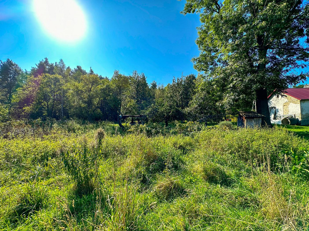 Продаж земельної ділянки 23 соток на вул. Лісова  - фото 13