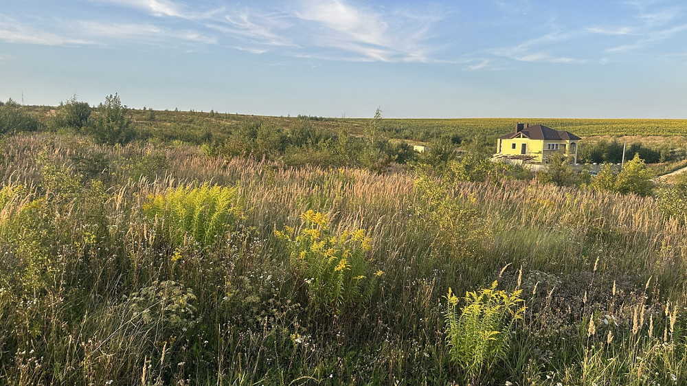 Продаж земельної ділянки 10 соток Baikivtsi - photo 10