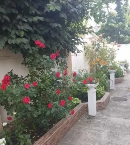 Продаж земельної ділянки 0.2 соток на ул. Кругова, 17а Velyka Balka - photo 11