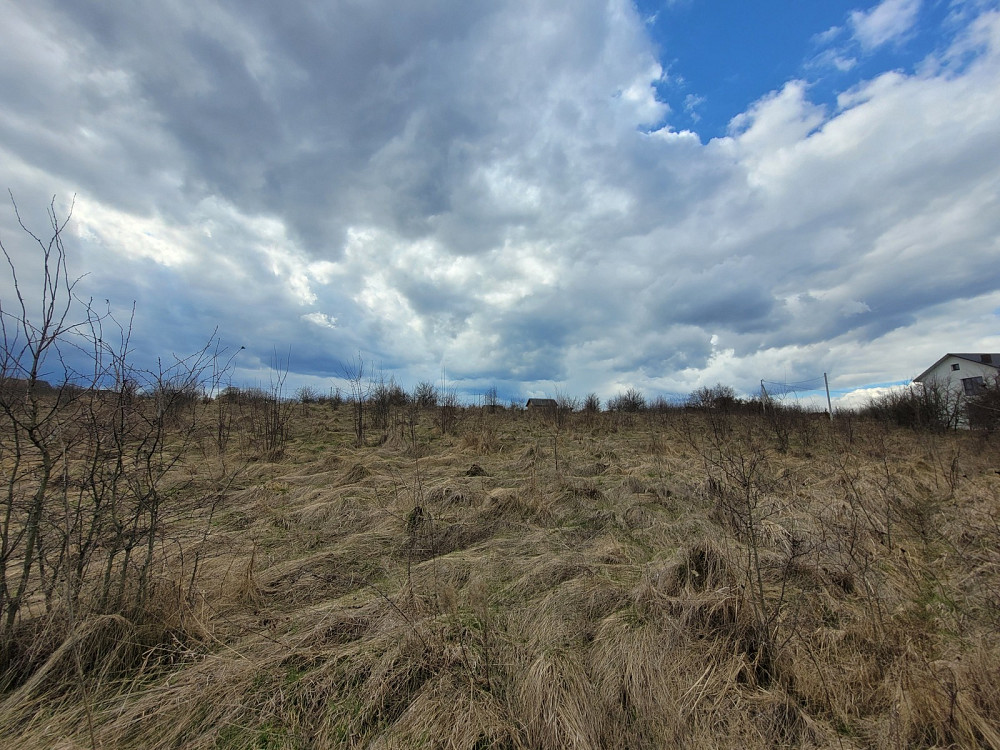 Продаж земельної ділянки 1.87 га Kolodiivka - photo 6