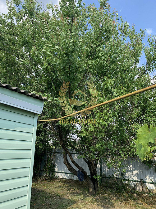 Продам будинок в селі Кодра Kodra - photo 14