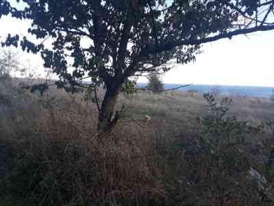 Продаж земельної ділянки 0.1 соток на ул. Приморская, 29 Chornomors'ke