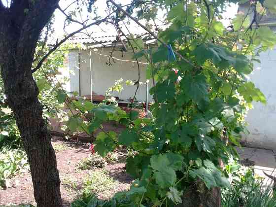 Продам дом на 9 сотках земли, Чубаевка/Обильная Одеса