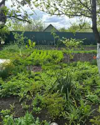 Продаж земельної ділянки 0.1 соток на ул. Цветочная, 1106 Протопопівка