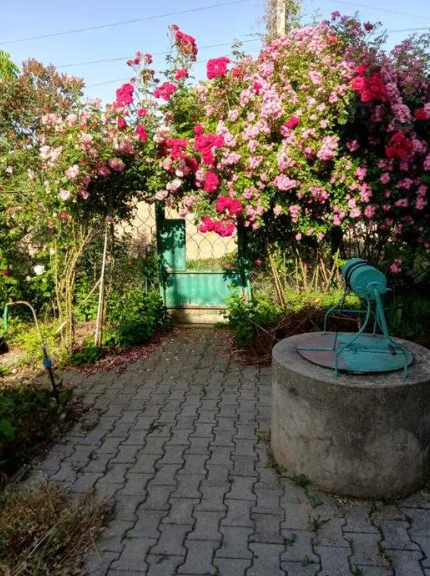 Продам 2-х этажный капитальный дом в с.Светлое (5 км от Одессы) Світле - фото 14