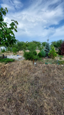 Продаж земельної ділянки 0.1 соток на ул. Новоселів, 58 Dobrooleksandrivka - photo 5