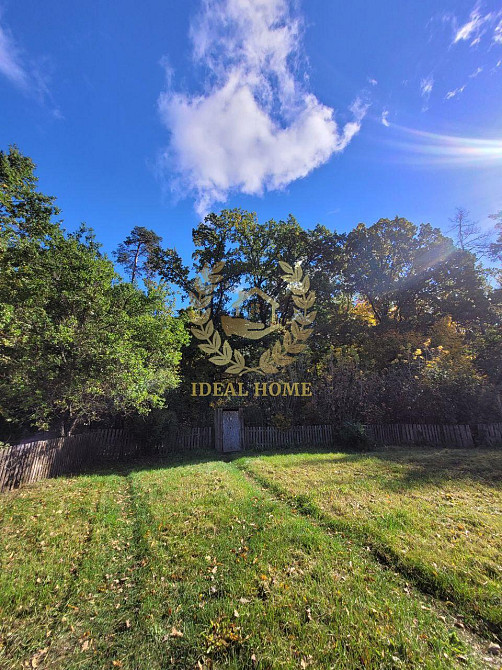 продається будинок Камянському лісництві с. Камянка Каменка (Іванківський район) - фото 15