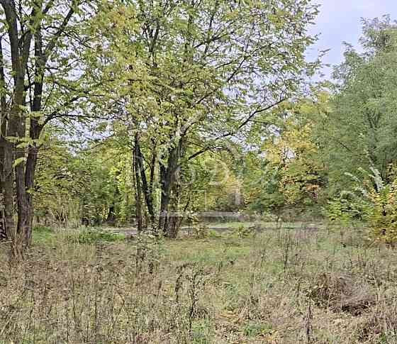 Продаж земельної ділянки 25 соток Bezuhlivka (Boryspilskyi raion)