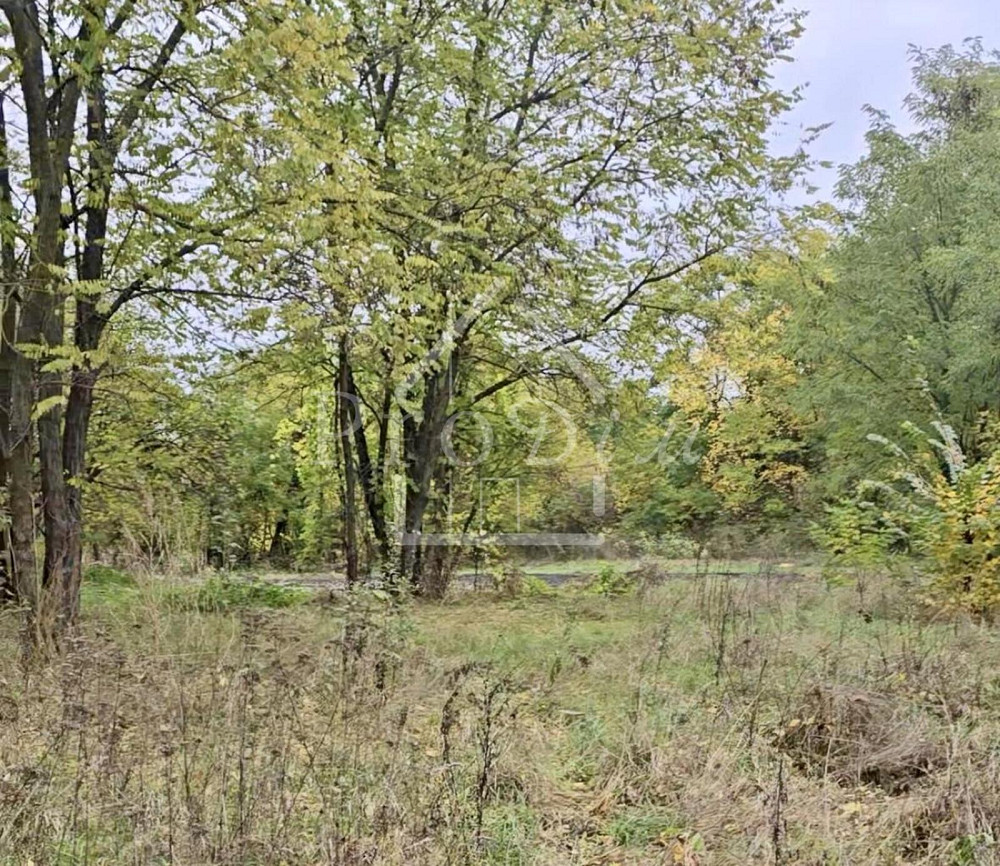 Продаж земельної ділянки 25 соток Bezuhlivka (Boryspilskyi raion) - photo 1