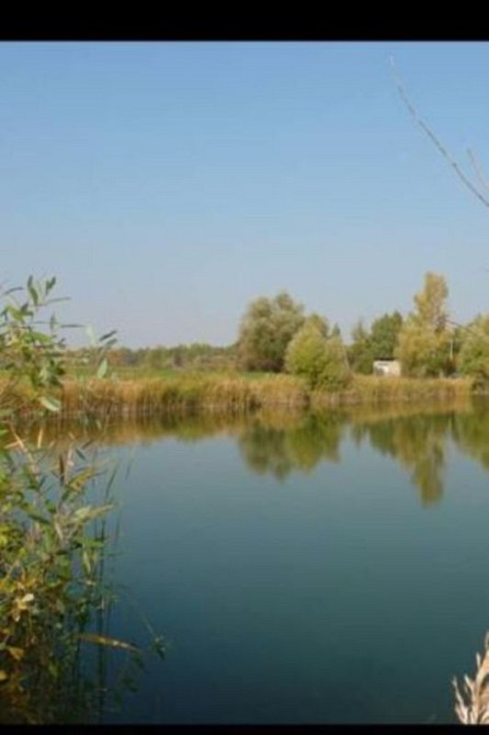 Продаж земельної ділянки 94 соток Лебедин - фото 2