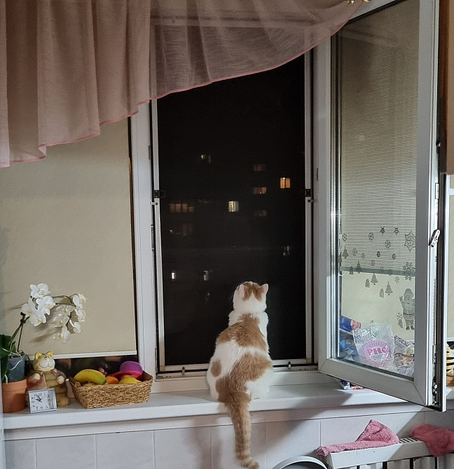 Продаж Квартира 2-кімнатна, 5/9 поверх на Коласа Якуба вул., д. 6 Київ - фото 11