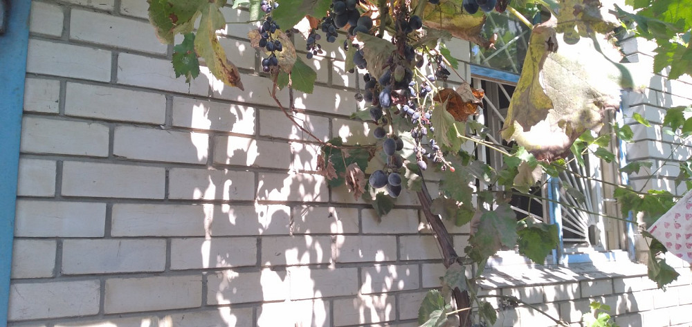 Продам дом на 6 сотках земли, ул. Рыбачья/Худ. Федорова Одеса - фото 4