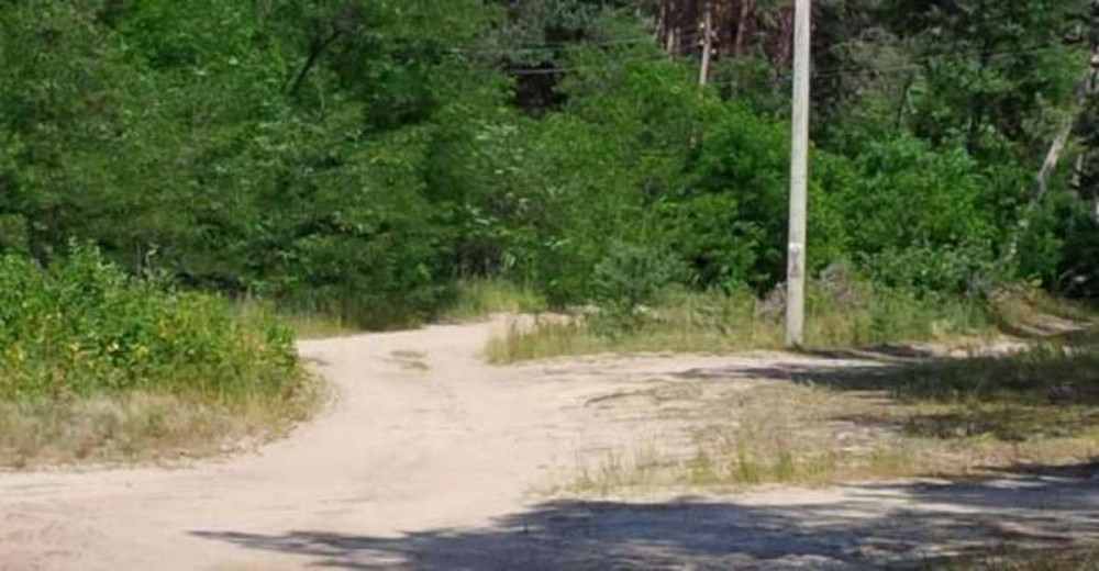 Продаж земельної ділянки 25 соток  - фото 1