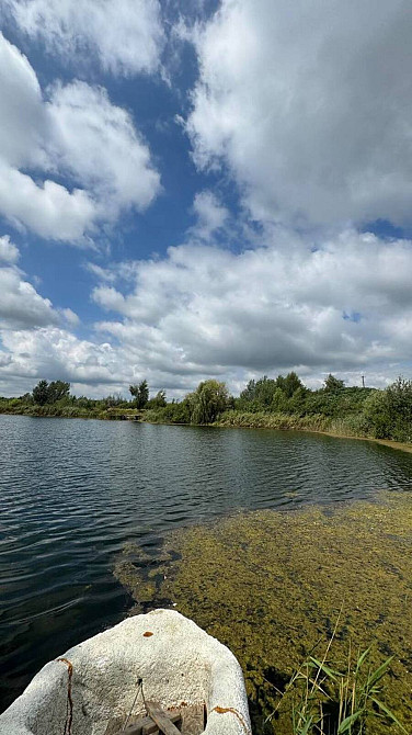 Продаж земельної ділянки 2.9 га  - photo 5