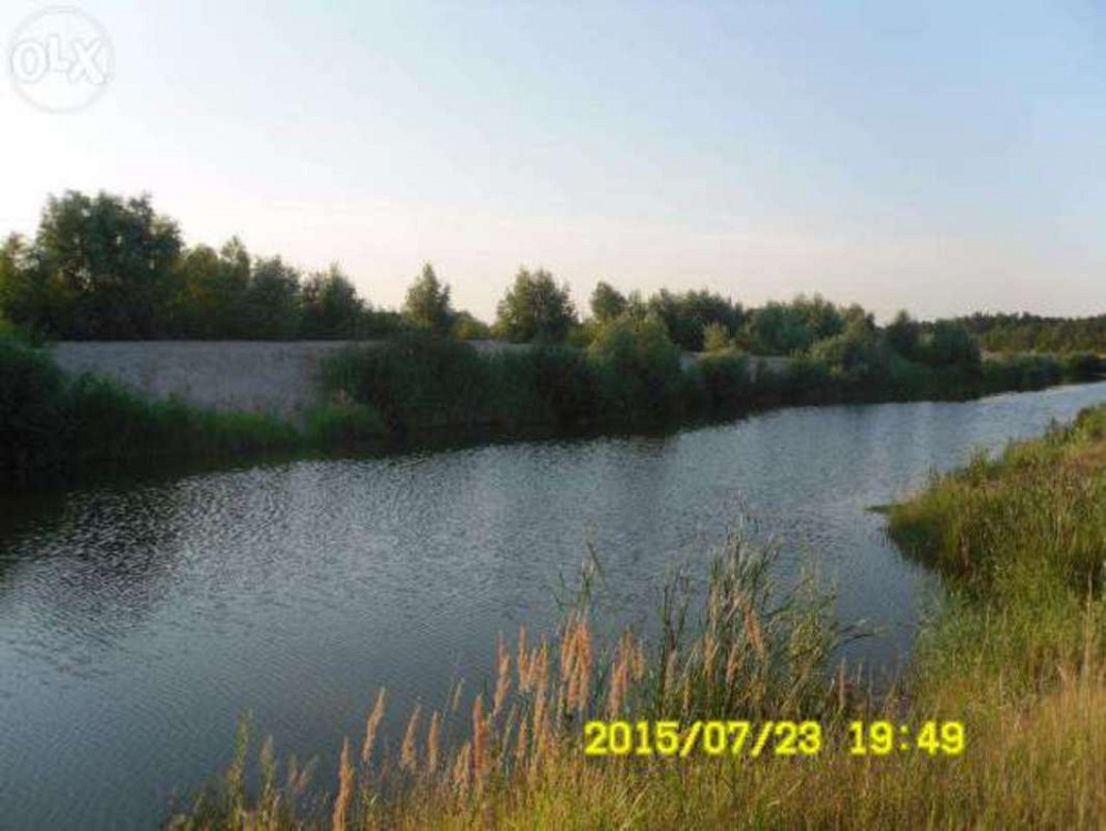 Продаж земельної ділянки 12 соток  - фото 2