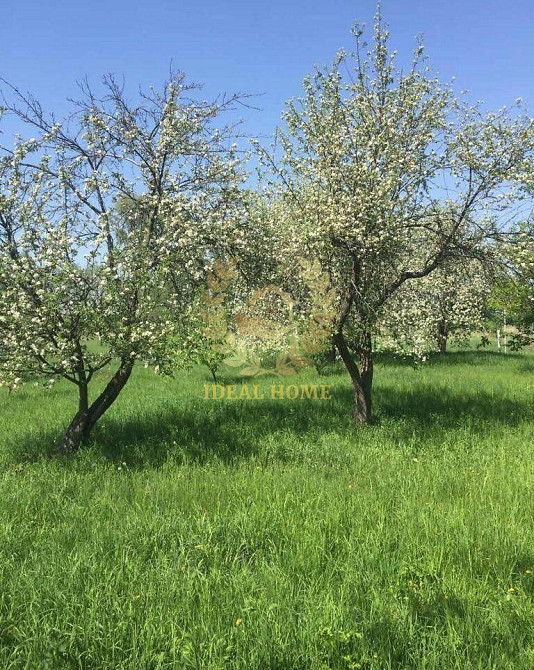 Продаж Будинок 2-кімнатний на Хутор Надежда ул., 4  - фото 8