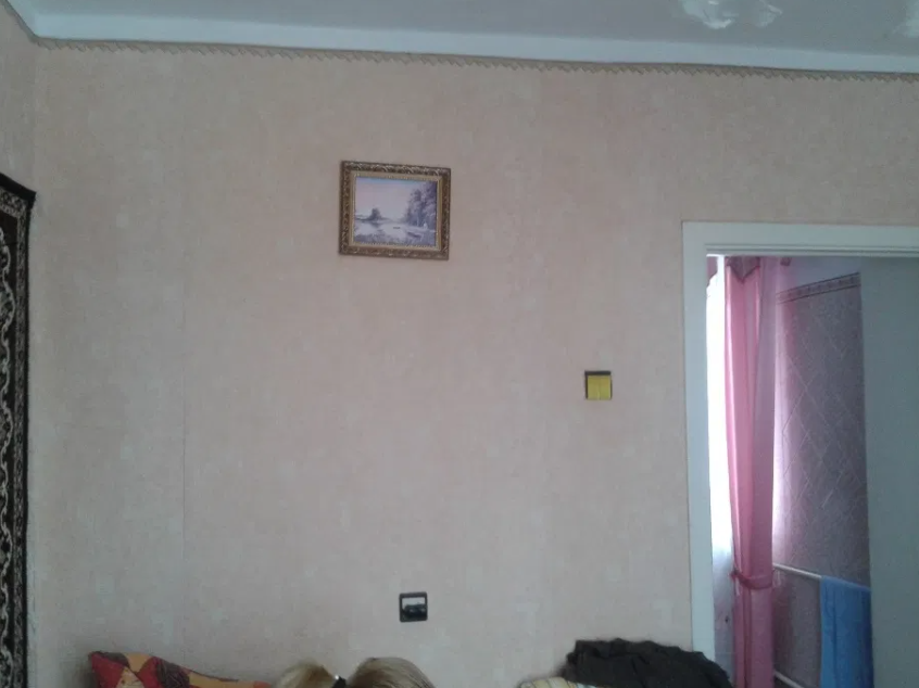 Продам дом в с. Севериновка Северинівка - фото 10