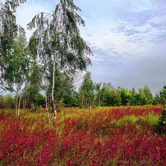 Продаж земельної ділянки 11 соток на Зарічани Житомир