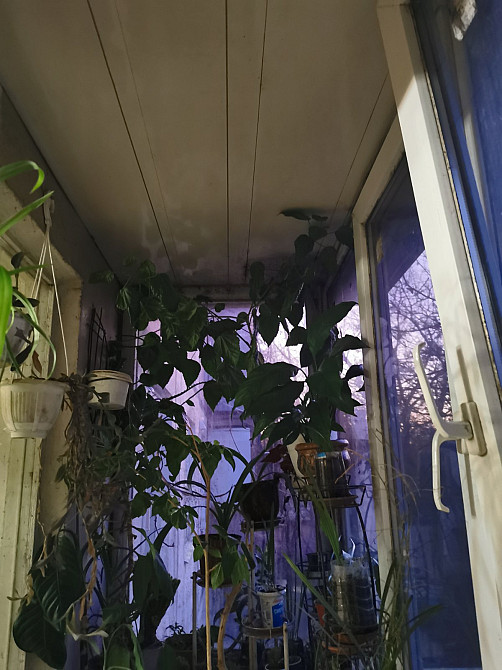 Продам 2-х комн.квартиру на Балковская/ Приморский суд Odessa - photo 9