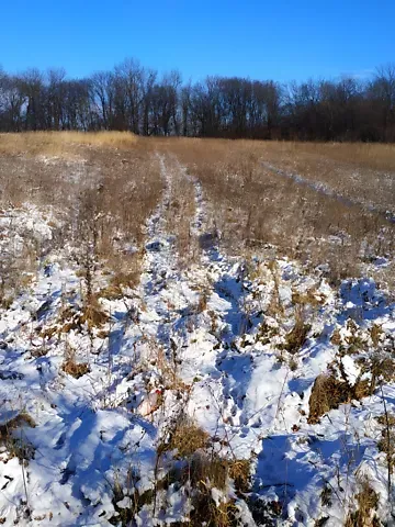 Продажа земельного участка  площадь 10 сот Вишнева вулиця 1  - изображение 10