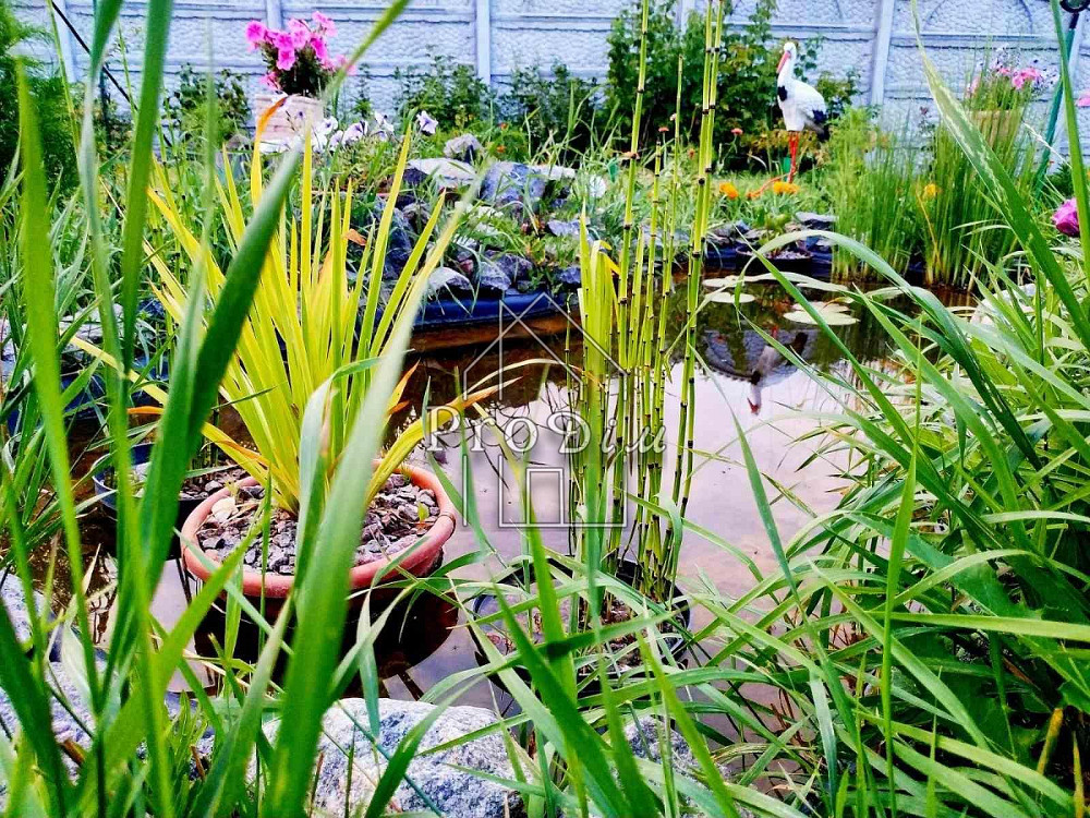 Продаж Будинок 4-кімнатний Осикове - изображение 16