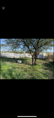 Продаж земельної ділянки 0.1 соток на ул. Прилиманська, 30 Холодна Балка - фото 2