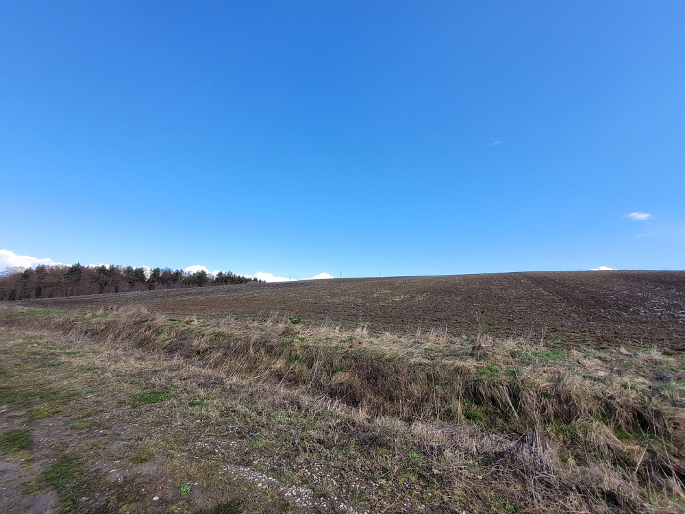 Продаж земельної ділянки 3.76 га Kolodiivka - photo 7